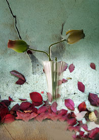 相爱相杀的言情小说